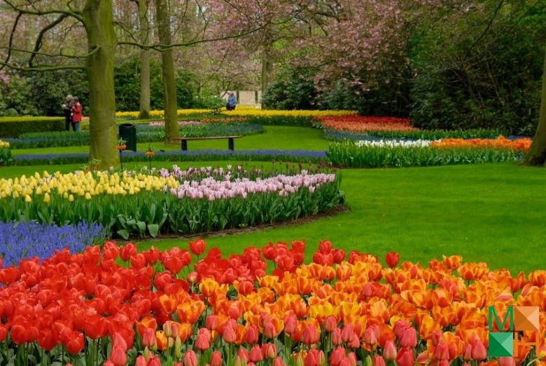 Tranh dán tường Hàn Quốc 3d khổ lớn tại Hà Nội NA - 243